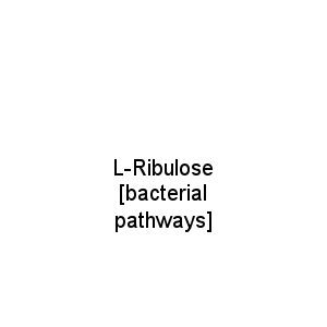 L-Ribulose [bacterial pathways]